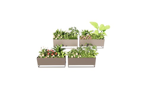 Modern Flower Box Transfer Flower Box Plant Flower Box 3d model