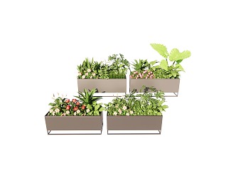 Modern Flower Box Transfer Flower Box Plant Flower Box 3d model