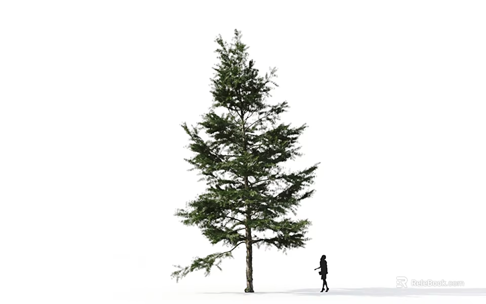 Tall Lush Evergreen Arbor With Single Person Silhouette On White Background 3d model 