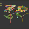 Group of Yellow Flowers With Green Leaves On Dark Background Surface