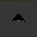 Shiny Dark Beetle With Horned Head And Detailed Leg Structure On Gray Background