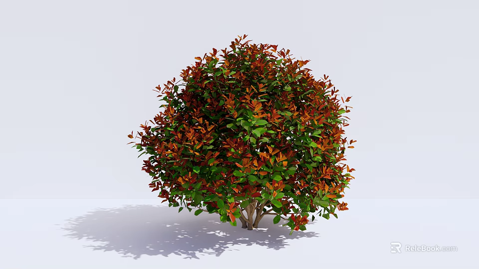 Lush Round Shrub With Red And Green Leaves Against White Background 3d model 