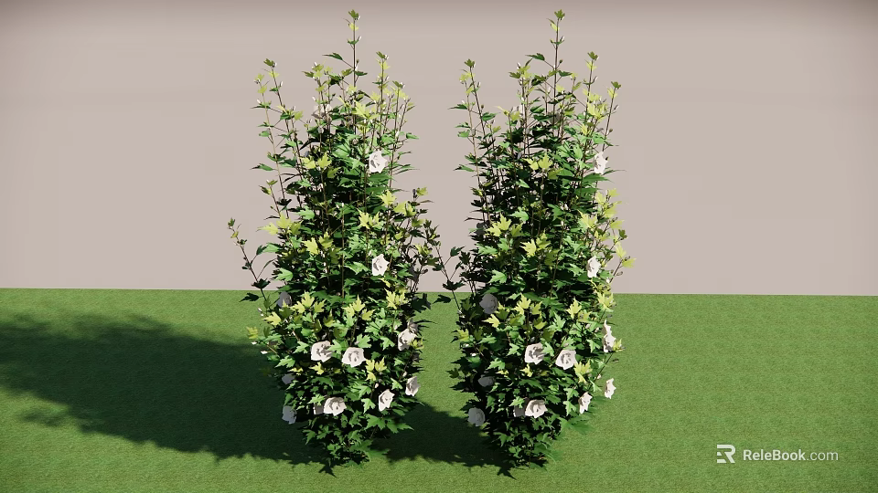 Lush Green Shrubs With White Flowers In Garden Against Gray Wall And Green Grass 3d model 