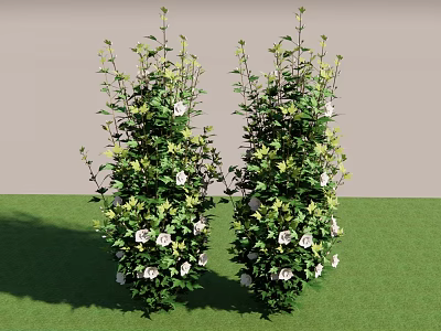 Lush Green Shrubs With White Flowers In Garden Against Gray Wall And Green Grass 3d model