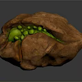 Opened Walnut with Fresh Green Kernels Inside Showing Natural Texture