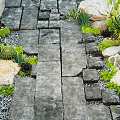 Outdoor Stone Pathway In Garden With Succulents Rocks And Gravel