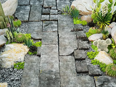 Outdoor Stone Pathway In Garden With Succulents Rocks And Gravel 3d model