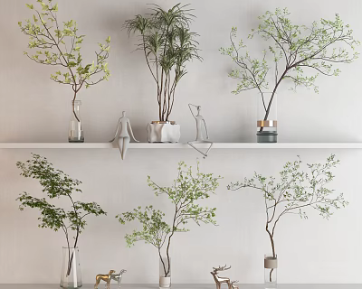 Bonsai Plants With Green Leaves On Interior Shelf For Modern Home Decor 3d model