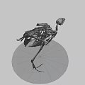 Detailed Bird Skeleton 3D Model with Anatomical Details and Standing Pose