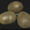 Three Fresh White Potatoes on Gray Background for Healthy Cooking Ingredients