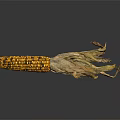 Ripe Corn Cob With Orange And Brown Kernels Dried Husks On Dark Reflective Background