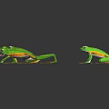 Cartoon Green Frogs With Yellow Bellies In Different Poses On Black Background 3d model