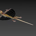 Reptile Flying Lizard With Orange Wing Membranes And Yellow Textured Body On Black Background