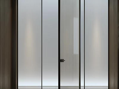 Modern Frosted Glass Door With Black Frame And Wooden Wall Design 3d model