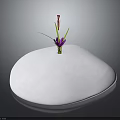 Vibrant Plant With Purple Petals Red Stamens Green Stems On White Rounded Base Dark Background