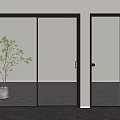 Modern Sliding Glass Door And Ribbed Glass Door With Black Frame And Plant