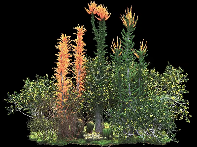 Colorful Garden Shrubs With Orange Flowers Yellow Berries And Lush Green Foliage 3d model