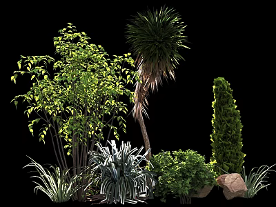 Varied Garden Shrubs With Palm Tree Grasses And Decorative Stones 3d model