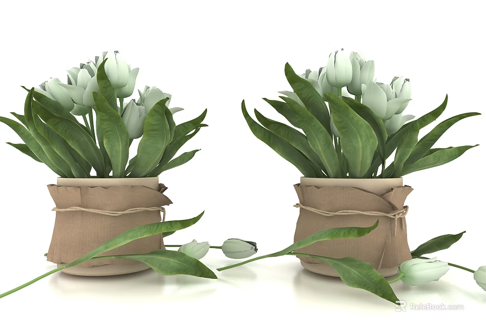 Bonsai Potted Plants With White Flowers Green Leaves Beige Burlap Pots Scattered Leaves Flower Buds 3d model 