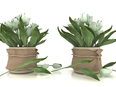 Bonsai Potted Plants With White Flowers Green Leaves Beige Burlap Pots Scattered Leaves Flower Buds 3d model