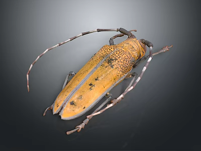 Yellow Spotted Longhorn Beetle With Long Antennae And Wings On Dark Surface 3d model Yellow Spotted Longhorn Beetle With Long Antennae And Wings On Dark Surface 3d model