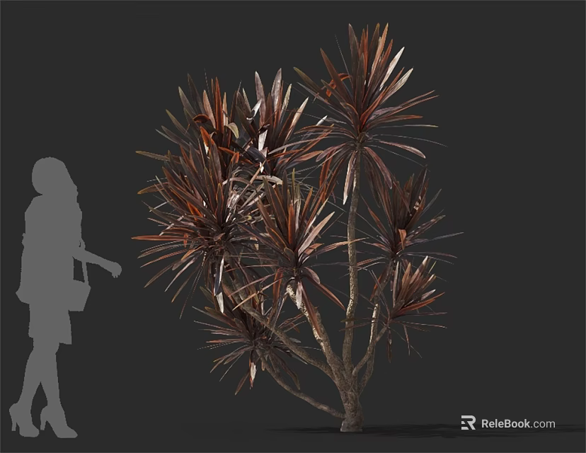 Tall Leafy Tree with Brown Red Leaves and Human Silhouette for Scale 3d model 