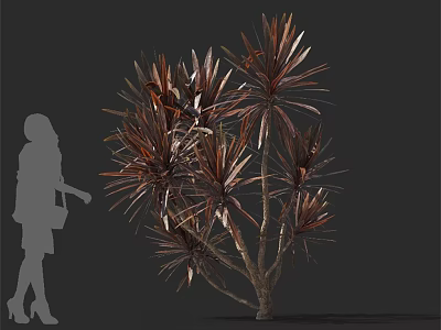 Tall Leafy Tree with Brown Red Leaves and Human Silhouette for Scale 3d model