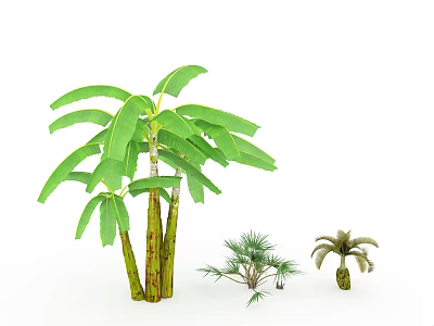 Banana Tree With Large Green Leaves Green Yellow Striped Trunk And Small Palm Like Plants 3d model