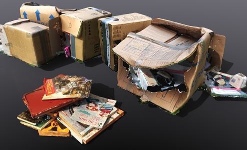 Old life items, old cardboard boxes, old book collections, recyclables 3d model