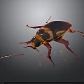 Shiny Red and Black Cockroach Crawling on Black Reflective Surface 3d model