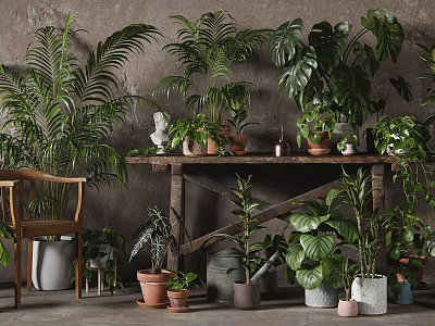 Various Potted Plants On Wooden Shelf With Gray Wall Background And Decorative Items 3d model