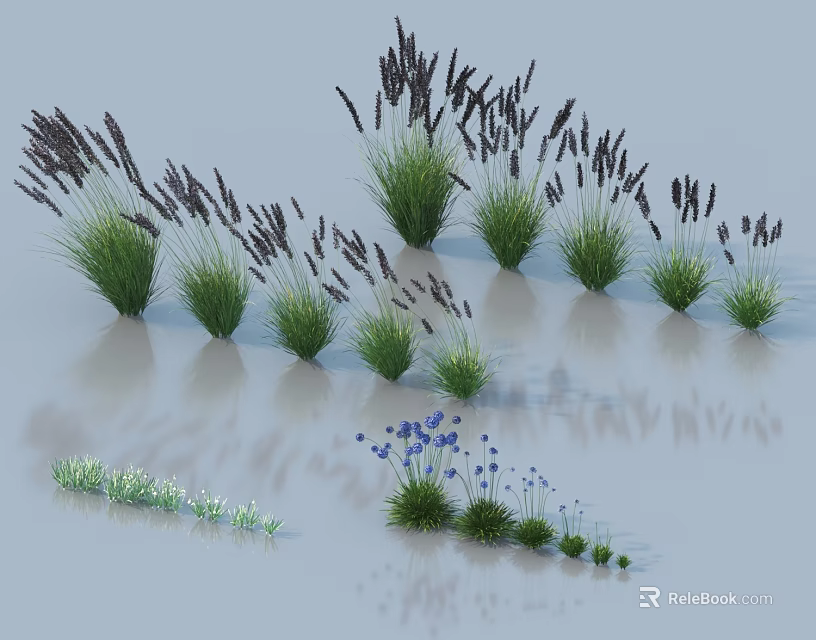 Beautiful Flowers And Grasses Featuring Tall Purple Spikes Blue Blooms And Clumping Varieties 3d model 