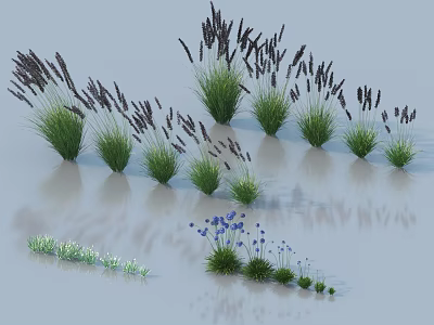 Beautiful Flowers And Grasses Featuring Tall Purple Spikes Blue Blooms And Clumping Varieties 3d model