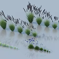 Beautiful Flowers And Grasses Featuring Tall Purple Spikes Blue Blooms And Clumping Varieties