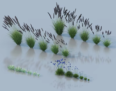 Beautiful Flowers And Grasses Featuring Tall Purple Spikes Blue Blooms And Clumping Varieties 3d model