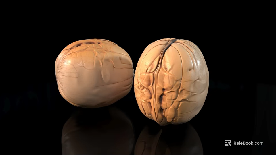 Natural Whole Walnuts With Textured Shells On Black Reflective Surface 3d model 