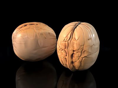 Natural Whole Walnuts With Textured Shells On Black Reflective Surface 3d model
