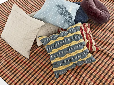 Soft Assorted Patterned Decorative Pillows With Striped Dotted Quilted Designs On Plaid Blanket 3d model