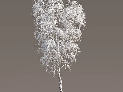 Snow Covered Arbor With White Trunk And Drooping Branches In Winter 3d model