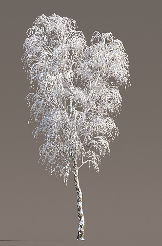 Winter Snow Trees Winter Trees Snow Trees Litter Trees Winter Trees Snow Trees Snow Trees Dead Trees Street Trees 3d model