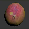 Fresh Ripe Mango With Yellow Pink And Green Skin On Black Background