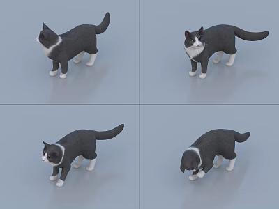 Gray And White Cat 3D Model Shown In Various Angles And Poses 3d model