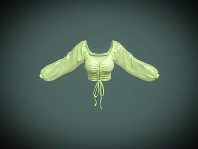 Light Green Crop Top With Puffed Sleeves And Tie Waist Detail 3d model