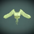 Light Green Crop Top With Puffed Sleeves And Tie Waist Detail