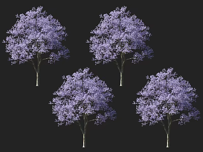 Beautiful Vibrant Purple Flowering Trees With Lush Blooms Against Black Background 3d model