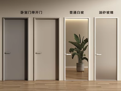 Modern Single Swing Bedroom Doors With Clear And Frosted Glass Panels 3d model
