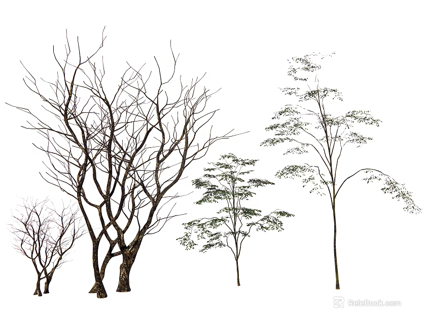 Arbor Trees Displaying Bare Branches and Leafy Foliage with Various Sizes and Natural Silhouette 3d model 