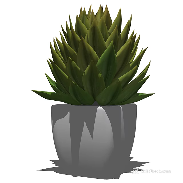 Potted Succulent Plant with Green Spiky Leaves in Gray Ceramic Pot for Indoor Home Decoration 3d model 