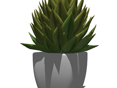 Potted Succulent Plant with Green Spiky Leaves in Gray Ceramic Pot for Indoor Home Decoration 3d model