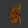 Vibrant Orange Coral Like Plant With Tentacle Shaped Structure On Dark Background